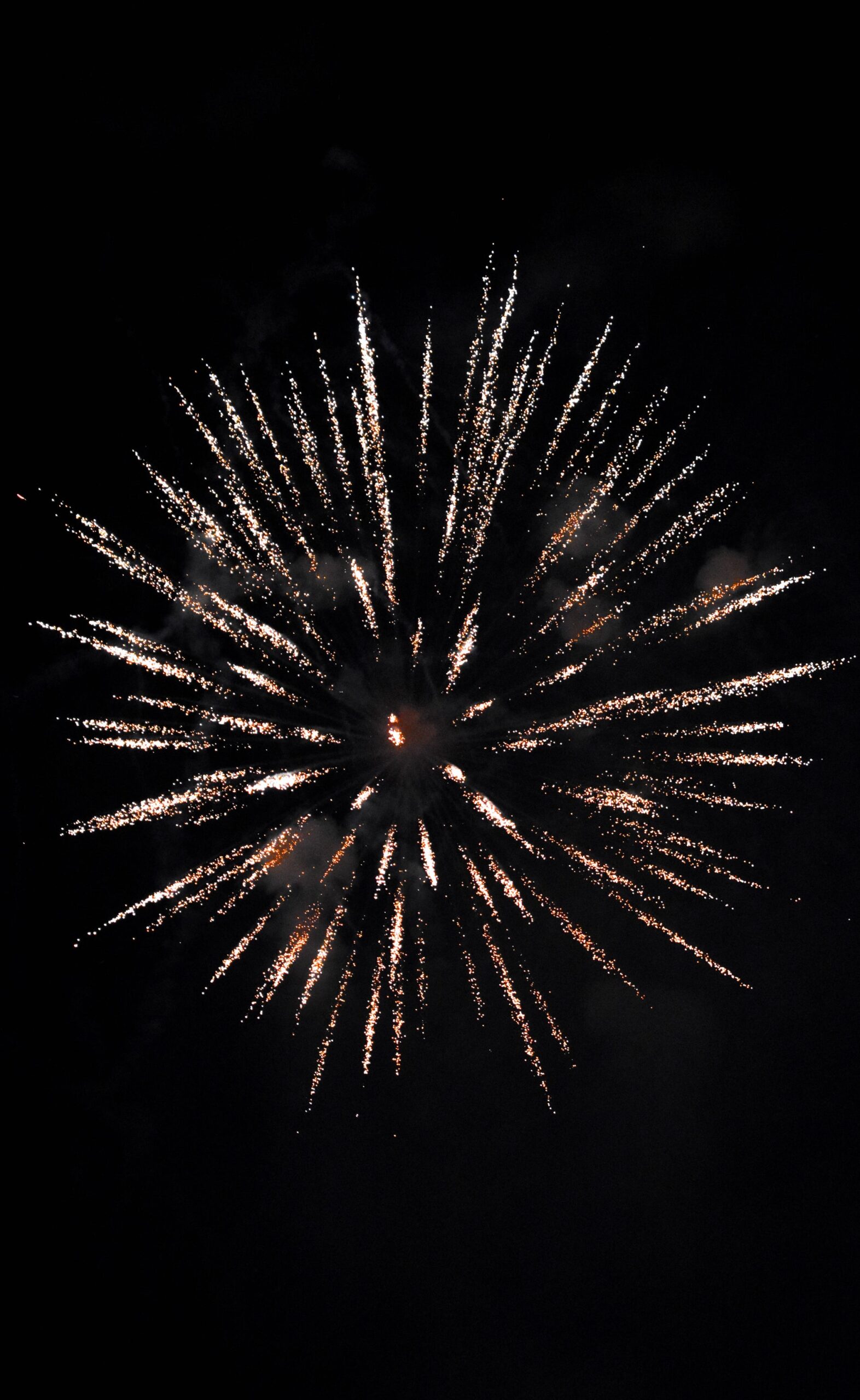 fireworks display